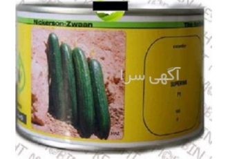 بذر خیار فضای باز سوپرینا - زود رس