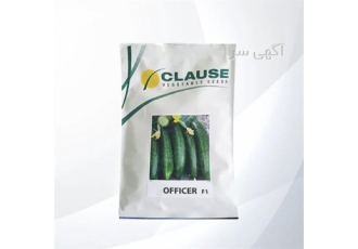 بذر خیار آفیسر کلوز ( بذر خیار OFFICER F۱ ) در بیرجند ویژگی های بذر