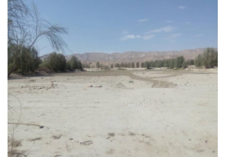 فروش 43000 متر مربع زمین کشاورزی واقع در لار