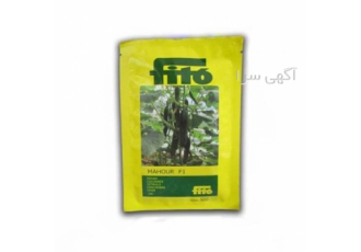 فروش بذر خیار ماهور FITTO