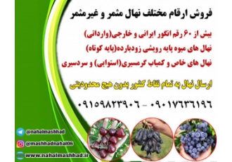 فروش ارقام مختلف نهال میوه و انگور