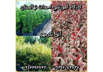 احداث نهالستان و احداث باغ میوه ترمیم و توسعه باغ در تهران ❇️دوره