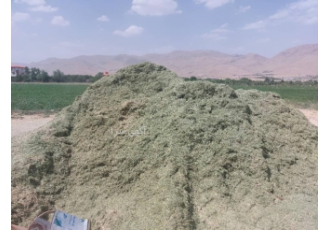 فروش یونجه چین دوم خورد شده و مرغوب فروش یونجه خورد شده