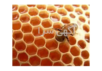 عسل صد در صد طبیعی اطراف کوه سهند عسل صدر صد100% طبیعی و داروعی حاج