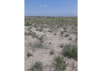 فروش زمین باغی زمین باغی در استان البرز شهرستان نظراباد روستای صفرخواجه