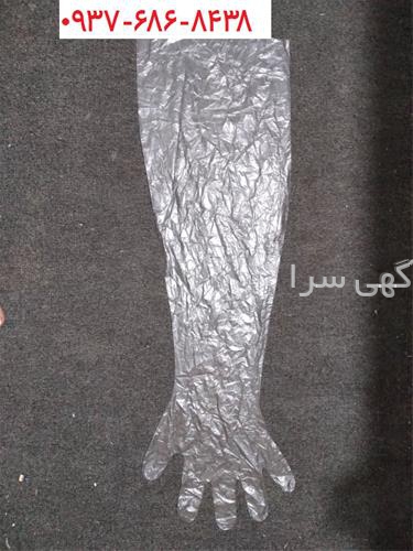 مامایی دامپزشکی