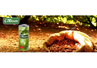 روغن فندق