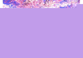 طراحی،نصب و اجرای انواع سقف های کناف آسمان مجازی،سقف ه