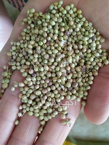 آگهی های خدمات بازرگانی - نهاوند