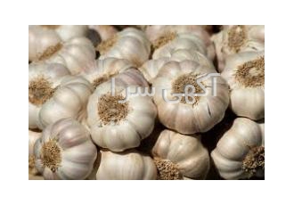 خریدارسیربرای خشک کردن ازکلیه کشاورزان وفروشندگان سیربرای خشک کردن