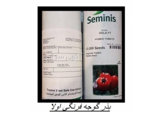 عرضه بذر گوجه فرنگی اولا گوجه فرنگی اولا سمینیس در مشهد فروش بذر گوجه