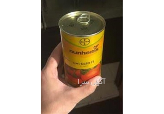 عرضه بذر گوجه فرنگی سانسید، بذر خوب