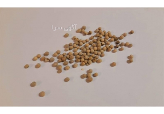 فروش عمده انواع فلفل