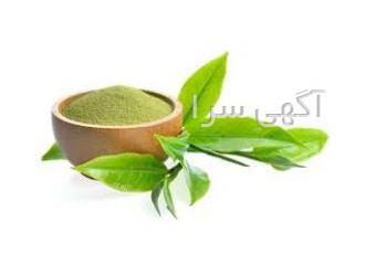 فروش عصاره های پودری گیاهی فروش انواع و اقسام عصاره های گیاهی عصاره