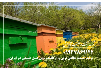 تولید کننده مرغوب ترین و ارگانیک ترین عسل طبیعی