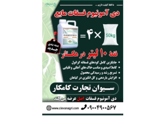 دی امونیوم فسفات کود ریشه 80درصد کاهش هزینه ها میزان مصرف برای هر هکتار