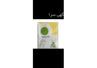 فروش بذر خیار اسپادانا بذر خیار اسپادانا در اصفهان فروش بذر خیار