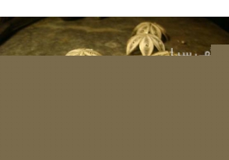 طراحی و ساخت جواهرات با رایانه