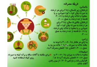 مکمل خاک کیزیل سو ۳۰تا ۵۰درصد صرفه جویی در آبیاری مکمل خاک کیزیل سو