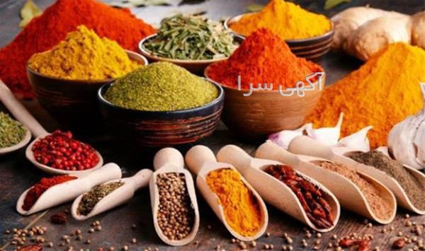 آشپزی در طبیعت تهران