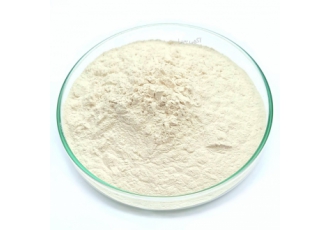 پودر خالصِ صمغ فارسی (صمغ زدو صمغ بادام کوهی) فروش پودر خالص و سفید