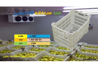 سبد لیمو در تهران سبد ابهری سبد لبه دار سبد گلخانه سبد فلفل دلمه سبد