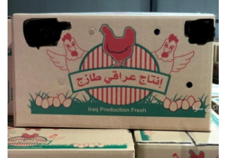 فروش و صادرات تخم مرغ خوراکی سفیدوقهوه ای فروش تخم مرغ خوراکی قهوه ای