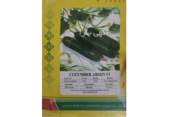 فروش بذر خیار آرمین ( بذر خیار ARMIN ) در بیرجند بذر خیار گلخانه ای