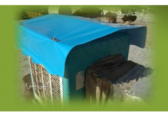 سایه بان کولر