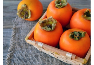 اجاره درخت خرمالو خرید میوه خرمالو اجاره باغ با سلام و عرض ادب گروه