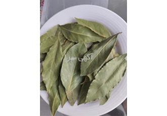 فروش و تامین برگ بو در سبزوار خواص گیاه برگ بو کاهش قند خون ضد باکتری