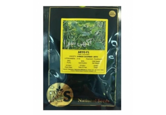 فروش بذر خیار گلخانه ای آریو نشنال سید در تهران بذر خیار آریو نشنال سید