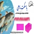 سبد ماهی و سبد میگو و سبد لبنیات در قزوین شرکت شایان اعتماد به عنوان