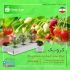 فروش عمده کیسه نهال گلدانی و گروبگ در ساری شرکت گرین آذین تولید کننده