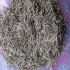 فروش رزماری خشک شده (برگ خالص) در اصفهان فروش رزماری خشک شده برگ خالص