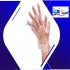 خرید عمده و پخش دستکش یکبار مصرف در پاکدشت عرضه کننده بهترین دستکش