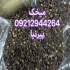 میخک و جوز هندی و انواع ادویه جات در تهران فروش عمده و جزیی میخک درجه