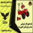 جک سوسماری جک گیربکسی رفیعیان در آمل جک سوسماری و جک گیربکسی فیدار