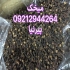 انواع ادویه جات بصورت قلم و اسیاب شده در تهران