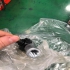 تولید کننده سرجک سرجکی و یا چشمی جک rod eye در مشهد تولید کننده سرجک
