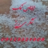 خرید نمک خوراکی و نمک ید دار در تهران خرید و فروش انواع نمک های خوراکی