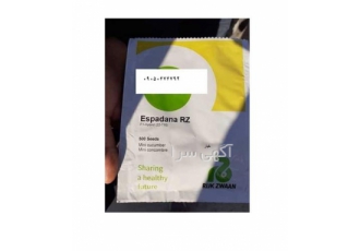 بذر خیار گلخانه ای فروش عمده بذر خیار اسپادانا در اصفهان بذر خیار
