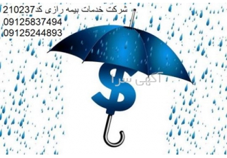 نمایندگی بیمه رازی مجیدیه | صدور انواع بیمه نامه
