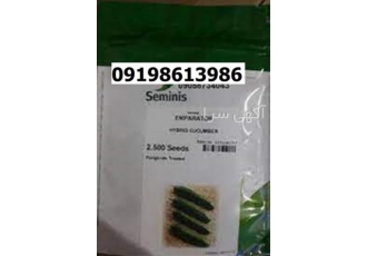 بذر خیار امپراطور پرفروش اصل