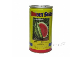 بذر هندوانه خطی یونیژن در رشت مشخصات بذر هندوانه کریمسون سوئیت یونیژن