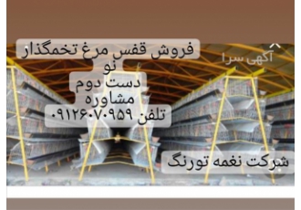 فروش فوری قفس دست نو نغمه تورنگ _ طیور