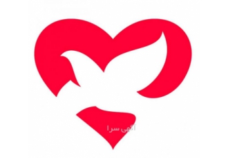تامین کننده کیت و لوازم آزمایشگاهی و مواد شیمیایی فرازمد مرجع تخصصی نقد