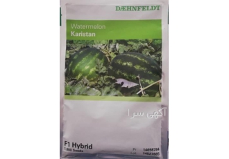 فروش بذر هندوانه کاریستان