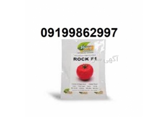 توزیع بذر گوجه فرنگی راک پر فروش با کیفیت در ایذه قیمت بذر گوجه فرنگی