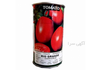 بذر گوجه ریوگرند در اهواز گوجه ریوگرند با یکنواختی میوه ئ با میانگین